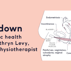 The lowdown on pelvic health | The Lowdown