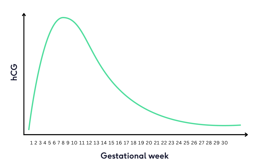 hCG levels in pregnancy graph | The Lowdown