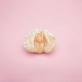 Vulva